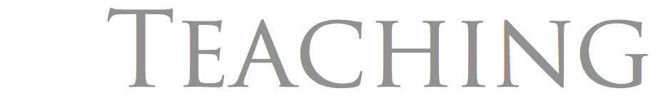 Teaching section head