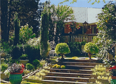 Sleeping Beauty Garden