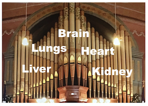 Organ Oratorio Meditation