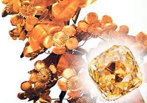 Debora Broderius - Avalon Body - Golden Overture Meditation
